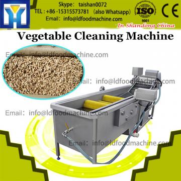 Professional pumpkin washing machine price