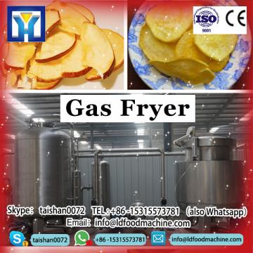 heavy duty fryer