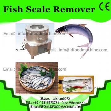 Big fish killing and killer machine/ stainless steel fish killer machine for sale