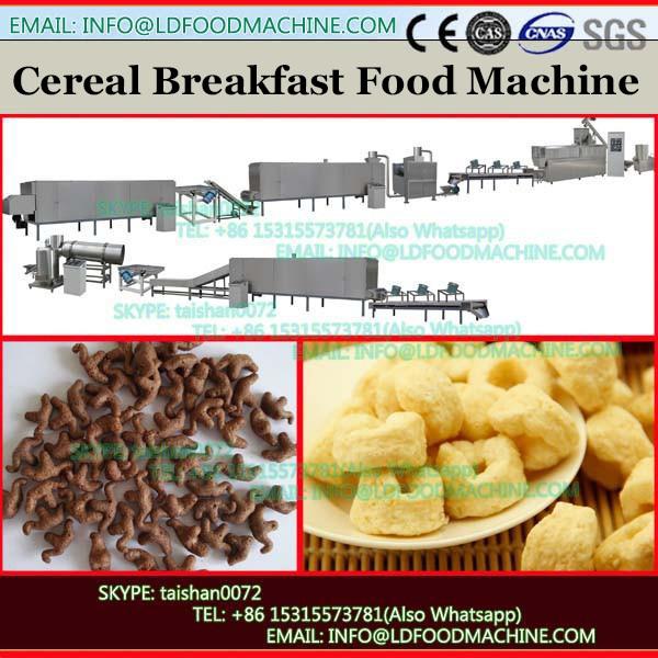 Extruded corn flakes processing line