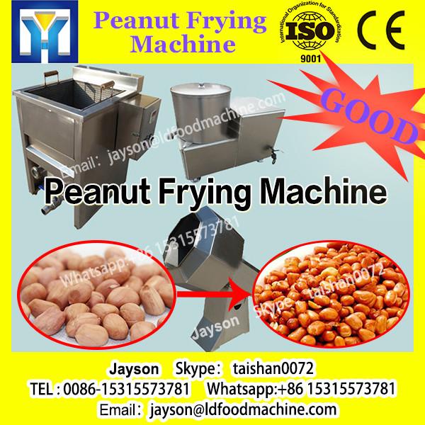 fried peanut equipment