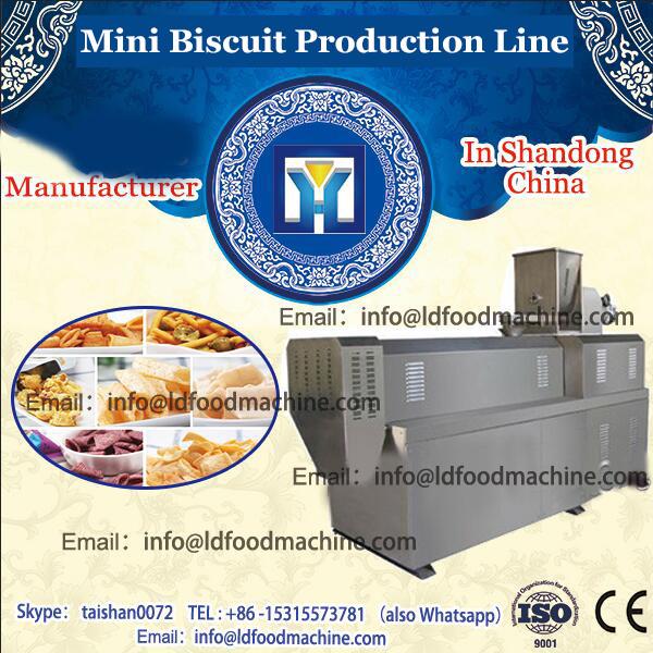 YX480 shanghai factory CE certificated plant full automatic mini biscuit process making machine price