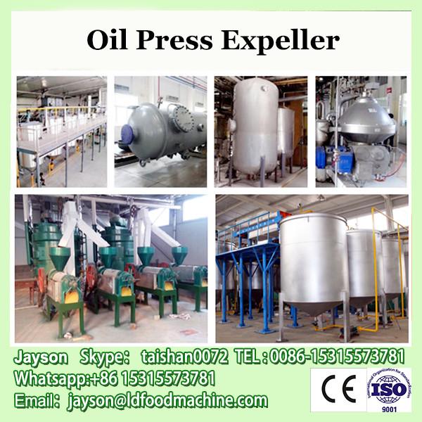 Prefessional Automatic Cold Press Moringa Oil Expeller Machine