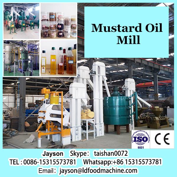 6yl-120 Cold press argan/olive/palm/sunflower oil press machine oil mill oil expeller for sale