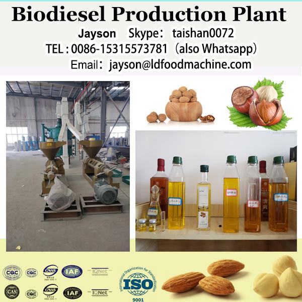 Small biodiesel plant mini biodiesel plant production machine, biodiesel making machine