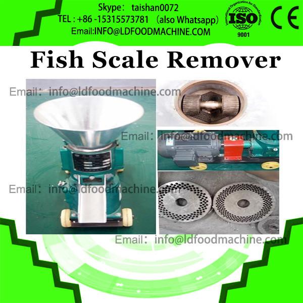 Big fish killing and killer machine/ stainless steel fish killer machine for sale