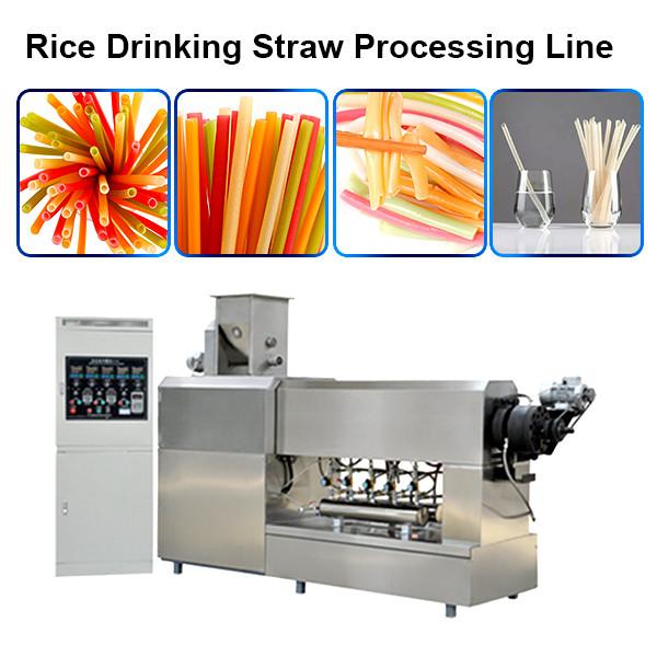 Chinese Manufacturer Industrial Biodegradable Edible Ecoware Rice Tapioca Drinking Straw Maker Making Machine