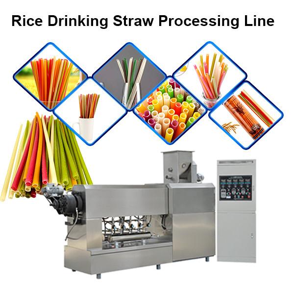 Chinese Manufacturer Industrial Biodegradable Edible Ecoware Rice Tapioca Drinking Straw Maker Making Machine