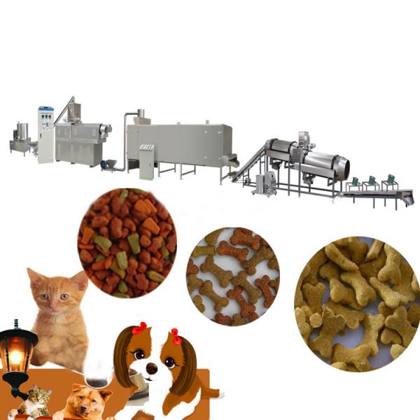 Dry Nutritional Dog Food Machine Pet Food Extrusion Machine Extruder Production Line